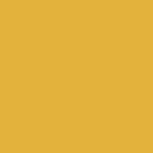 810 Curry Buehlmann